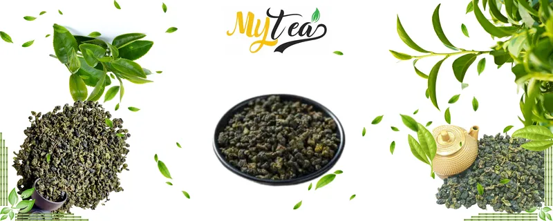Sản phẩm 930575818213046 — Công Ty TNHH Thương Mại Xuất Nhập Khẩu My My — MST 0313390654