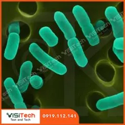 Sản phẩm Escherichia coli va coliform 247x247 — Công Ty TNHH Khoa Học Kỹ Thuật Việt Sinh — MST 0313396399