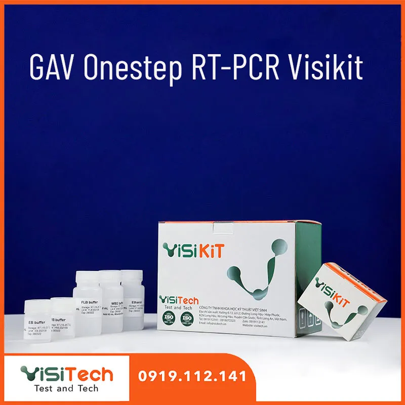 Sản phẩm GAV Onestep RT PCR Visikit FAPA 09 — Công Ty TNHH Khoa Học Kỹ Thuật Việt Sinh — MST 0313396399
