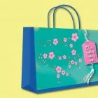 Sản phẩm tui giay dung qua tet 2  140x140 2 — Bao Bì Việt In - Công Ty TNHH Bao Bì Việt In — MST 0313397402