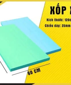 Sản phẩm tam mut xop xps day 25mm 2.5cm 247x296 — Công Ty TNHH Thương Mại Dịch Vụ Phát Triển Việt Hưng — MST 0313417024