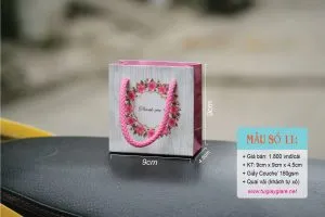 Sản phẩm Tui giay dung son 05 300x200 — Công Ty TNHH MTV Vũ Thị — MST 0313437006