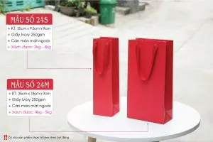 Sản phẩm Tui giay qua tet 03 300x200 — Công Ty TNHH MTV Vũ Thị — MST 0313437006