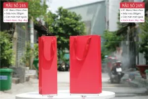 Sản phẩm Tui giay qua tet 04 300x200 — Công Ty TNHH MTV Vũ Thị — MST 0313437006