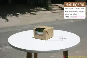 Sản phẩm Hop so 20 AI 03 300x200 — Công Ty TNHH MTV Vũ Thị — MST 0313437006