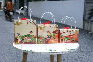 Sản phẩm Hop Q456 Tet 01 300x200 — Công Ty TNHH MTV Vũ Thị — MST 0313437006