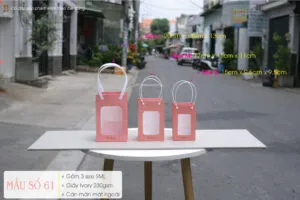 Sản phẩm Tui vuong co mat mica 03 300x200 — Công Ty TNHH MTV Vũ Thị — MST 0313437006
