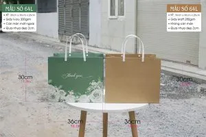 Sản phẩm Tui dung hop qua 03 300x200 — Công Ty TNHH MTV Vũ Thị — MST 0313437006
