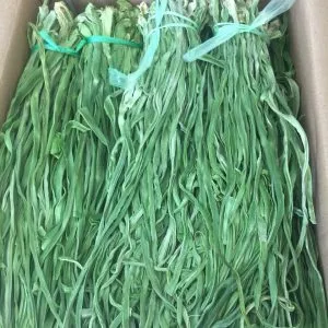 Sản phẩm 4838070B BD8C 4034 829C 163620B6637C 300x300 — Lâm Thái Nhã Foods - Công Ty TNHH Lâm Thái Nhã — MST 0313441323