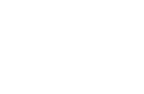 Logo Công Ty Cổ Phần Lime Logistics