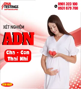 Sản phẩm xet nghiem adn cha con thai nhi — Công Ty TNHH MTV Thương Mại Và Dịch Vụ DNA TESTINGS — MST 0313459095