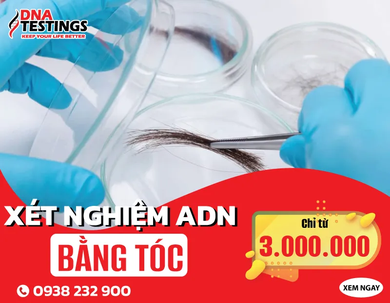 Sản phẩm xet nghiem adn bang toc — Công Ty TNHH MTV Thương Mại Và Dịch Vụ DNA TESTINGS — MST 0313459095