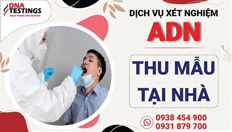 Sản phẩm xet nghiem adn tai nha — Công Ty TNHH MTV Thương Mại Và Dịch Vụ DNA TESTINGS — MST 0313459095