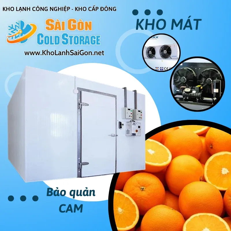 Sản phẩm 8lgkabgehwd1i60doq0la2tpf1p5_kho lanh bao quan cam — Kho Lạnh Sài Gòn - Công Ty TNHH Thương Mại Dịch Vụ Cơ Điện Lạnh Nguyễn Khánh — MST 0313470571