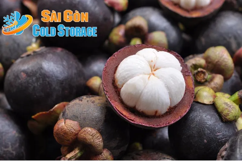 Sản phẩm d1p8xowl0uth5x7swn9jx7va312s_cach bao quan mang cut — Kho Lạnh Sài Gòn - Công Ty TNHH Thương Mại Dịch Vụ Cơ Điện Lạnh Nguyễn Khánh — MST 0313470571