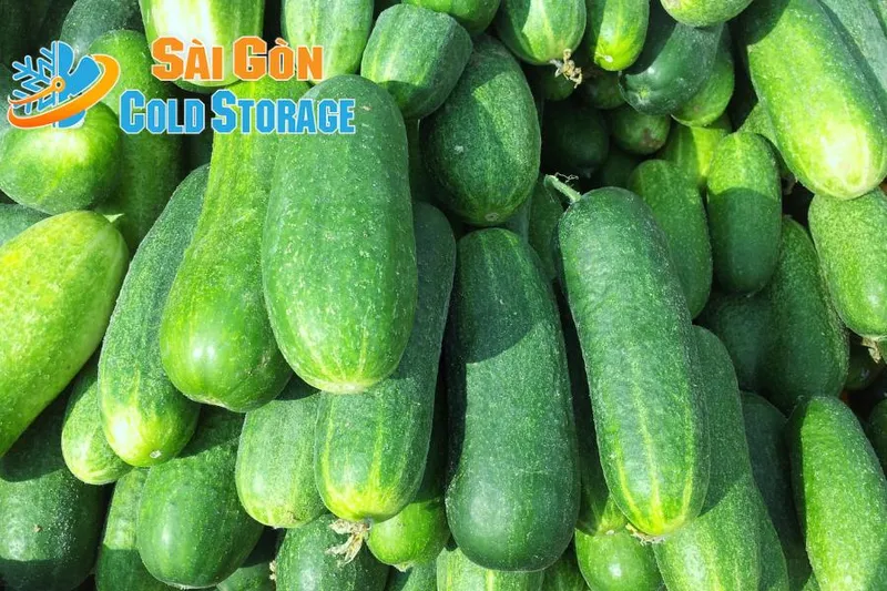 Sản phẩm fxjl3d1lkdrhflglakwt119osyk1_cach bao quan dua leo — Kho Lạnh Sài Gòn - Công Ty TNHH Thương Mại Dịch Vụ Cơ Điện Lạnh Nguyễn Khánh — MST 0313470571