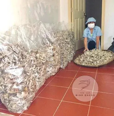 Sản phẩm 085dae1f6ac008677b73a84bfb6cd93eda558a83f33c36227a4f045c1ae406ffdcv23373d0d5f57464ea7ccec5dc53271 — Yến Sào Minh Quang - Công Ty TNHH Yến Sào Minh Quang — MST 0313476414