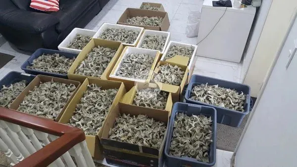 Sản phẩm 20191214092731result06de94b5263044638b77cdba54d4e329grande — Yến Sào Minh Quang - Công Ty TNHH Yến Sào Minh Quang — MST 0313476414
