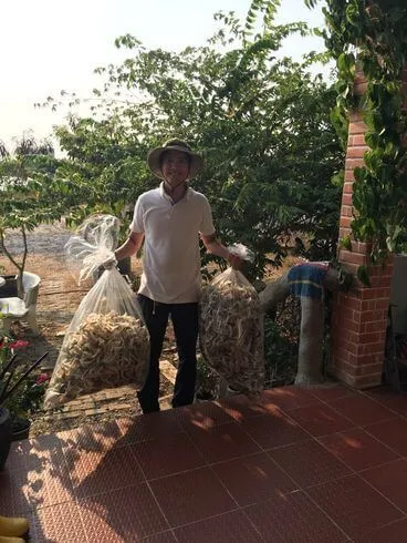 Sản phẩm thuhoachtoyen — Yến Sào Minh Quang - Công Ty TNHH Yến Sào Minh Quang — MST 0313476414