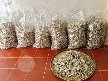 Sản phẩm thuhoachyensao — Yến Sào Minh Quang - Công Ty TNHH Yến Sào Minh Quang — MST 0313476414