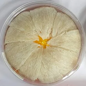 Sản phẩm yen rut long nguyen to 100g 300x300 — Yến Sào Minh Quang - Công Ty TNHH Yến Sào Minh Quang — MST 0313476414