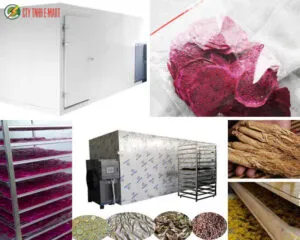 Sản phẩm may say lanh va may say nong khac nhau nhu the nao 03 300x240 — Thiết Bị Sấy E-Mart - Công Ty TNHH E-Mart — MST 0313477471