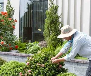 Sản phẩm dich vu cham soc cay canh tron goi tu a z bao gom nhung gi — Kiến Trúc Cảnh Quan HATA LANDSCAPE - Công Ty TNHH Kiến Trúc Cảnh Quan Hata — MST 0313482055
