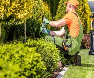 Sản phẩm diem khac biet cua hata landscape so voi cac don vi khac — Kiến Trúc Cảnh Quan HATA LANDSCAPE - Công Ty TNHH Kiến Trúc Cảnh Quan Hata — MST 0313482055