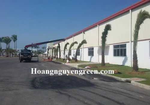 Sản phẩm dich vu trong cay xanh — Kiến Trúc Cảnh Quan HATA LANDSCAPE - Công Ty TNHH Kiến Trúc Cảnh Quan Hata — MST 0313482055