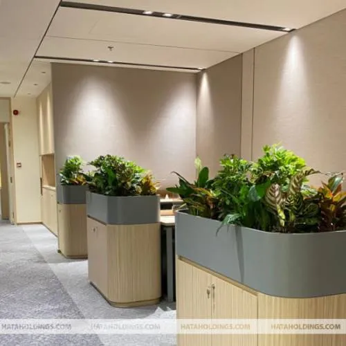 Sản phẩm thiet ke chua co ten 1 1 — Kiến Trúc Cảnh Quan HATA LANDSCAPE - Công Ty TNHH Kiến Trúc Cảnh Quan Hata — MST 0313482055