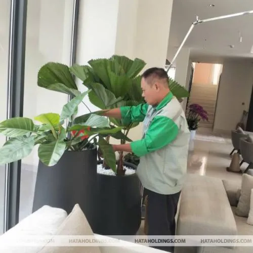 Sản phẩm thiet ke chua co ten 41 — Kiến Trúc Cảnh Quan HATA LANDSCAPE - Công Ty TNHH Kiến Trúc Cảnh Quan Hata — MST 0313482055