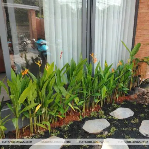 Sản phẩm thiet ke chua co ten 49 — Kiến Trúc Cảnh Quan HATA LANDSCAPE - Công Ty TNHH Kiến Trúc Cảnh Quan Hata — MST 0313482055