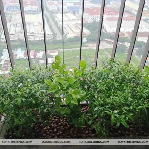 Sản phẩm thiet ke chua co ten — Kiến Trúc Cảnh Quan HATA LANDSCAPE - Công Ty TNHH Kiến Trúc Cảnh Quan Hata — MST 0313482055