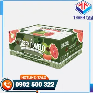 Sản phẩm Thung 7 lop trai cay 1 300x300 — Bao Bì Thành Tâm - Công Ty TNHH SX TM Bao Bì Thành Tâm — MST 0313489420