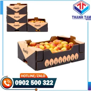 Sản phẩm Thung carton 5 lop kieu 07 1 300x300 — Bao Bì Thành Tâm - Công Ty TNHH SX TM Bao Bì Thành Tâm — MST 0313489420