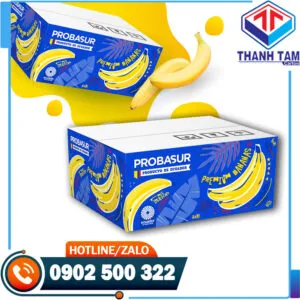 Sản phẩm thung thiet ke theo yeu cau kieu 4 1 300x300 — Bao Bì Thành Tâm - Công Ty TNHH SX TM Bao Bì Thành Tâm — MST 0313489420