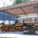 Sản phẩm fbimg1596167513399 1743_240x240 — Công Ty TNHH SX TM DV Mái Hiên Toàn Phát — MST 0313490426