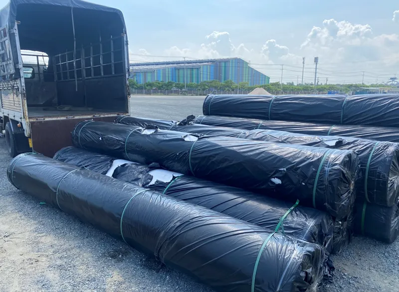 Sản phẩm Vai dia ky thuat tai cong trinh — Công Ty TNHH Xây Dựng Và Thương Mại Phú An Nam — MST 0313494170