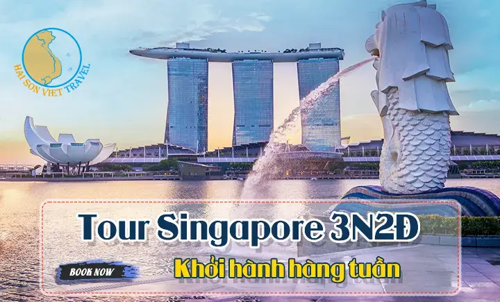 Sản phẩm 8937394c0cb933a922b99b5d61b712a1 — Công Ty Cổ Phần Dịch Vụ Du Lịch Hải Sơn Việt — MST 0313500674