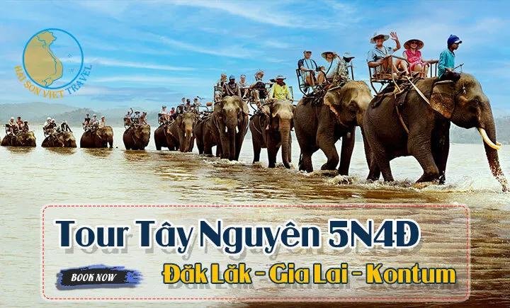 Sản phẩm d6759549607cdf8ed444df4134fd6adc — Công Ty Cổ Phần Dịch Vụ Du Lịch Hải Sơn Việt — MST 0313500674