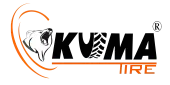 Logo Công Ty TNHH TN Việt Nam