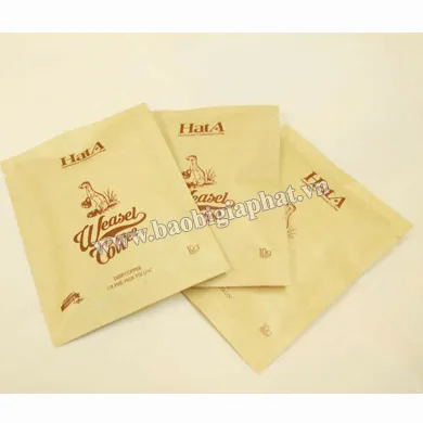 Sản phẩm 1498690440_tuigiar — Công Ty TNHH Sản Xuất Thương Mại In ấn Bao Bì Gia Phát — MST 0313502424