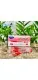 Sản phẩm Bút gel TL08 đỏ 38x80 — Công Ty TNHH Thương Mại Dịch Vụ SX Khánh Ngọc — MST 0313517406