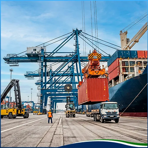 Sản phẩm custom services (3) — Công Ty TNHH Logistics Và Đại Lý Hải Quan Việt Nam — MST 0313523689