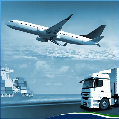 Sản phẩm transportation services (3) — Công Ty TNHH Logistics Và Đại Lý Hải Quan Việt Nam — MST 0313523689