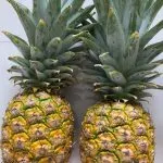 Sản phẩm pineapple1 e1644390546861 150x150 — Công Ty Trách Nhiệm Hữu Hạn IGM Việt Nam — MST 0313525453
