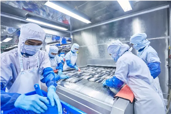 Sản phẩm Picture991 — Công Ty Trách Nhiệm Hữu Hạn IGM Việt Nam — MST 0313525453