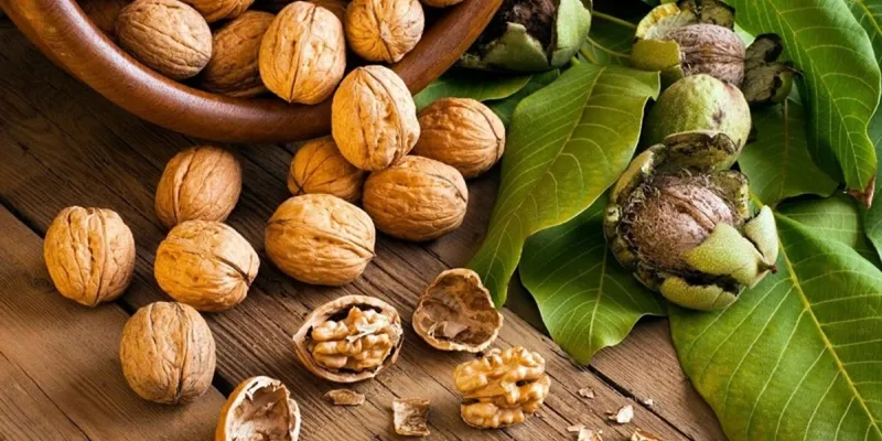 Sản phẩm tangcuongtrinhovanangcaotinhthanvoihatocchomoingay 5270 — Hạt Dinh Dưỡng Minh Phát - Công Ty TNHH Sản Xuất Và Xuất Nhập Khẩu Nông Sản Minh
Phát — MST 0313531633