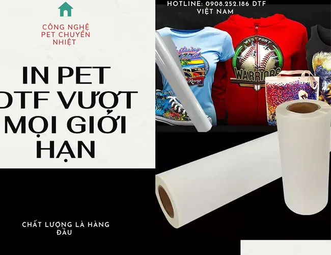 Sản phẩm in pet dtf 34 — Công Ty TNHH In ấn May Mặc Thời Trang Hùng Thiên — MST 0313540772