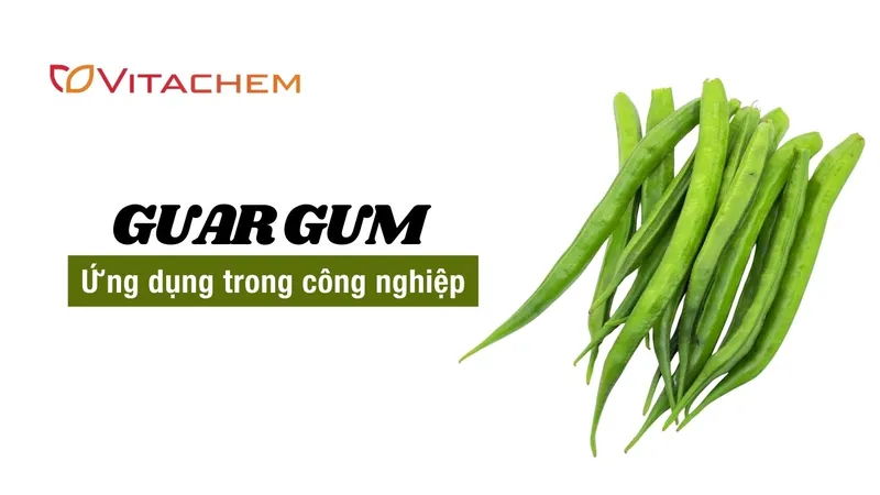 Sản phẩm ung dung cua guar gum trong cong nghiep — Công Ty TNHH Vitachem Ingredients — MST 0313551397